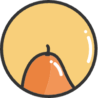 纸盒博客 - 站在巨人的肩膀上而已